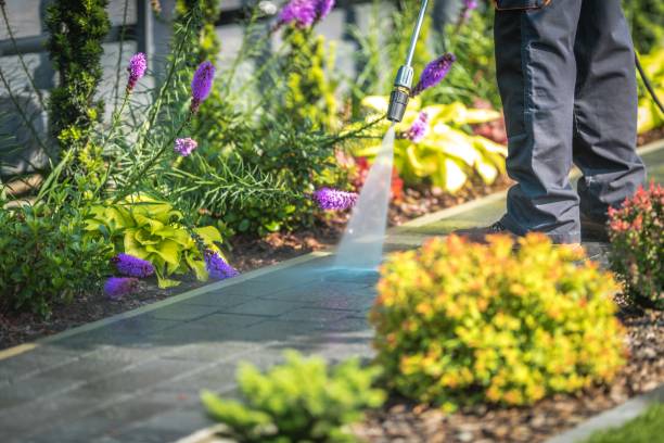Best Residential Exterior Washing  in Henderson, LA